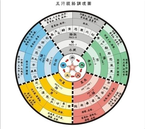 五術入門|五術